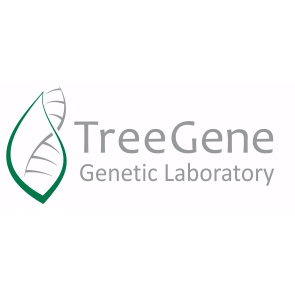 Tree Gene